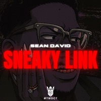 Sneaky Link - Single - Sean David MSX