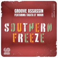 Southern Freeze (feat. Tasita D'Amor) - Single - Groove Assassin