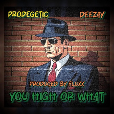 You High Or What (feat. Deezay & Produced By Fluxx) - Single