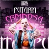 Putaria Criminosa (feat. MLK TEEY GTA) - Single