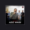 Aziz Waisi