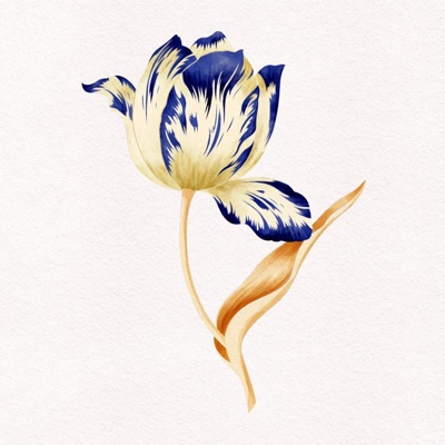 Ay Ke Buena (Valencia Session) - Single