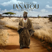 Janatou (feat. Wally B. Seck) song art