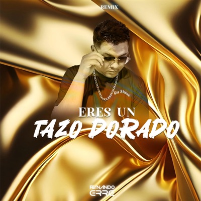 Fernando Erre - ERES UN TAZO DORADO (REMIX)