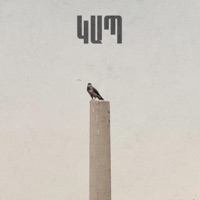 ԿԱՊ - Single - PARZ