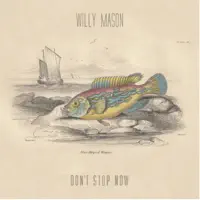 Talk Me Down — Willy Mason