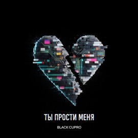 Ты прости меня Black Cupro