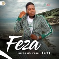 Sengithole Omunye by Feza