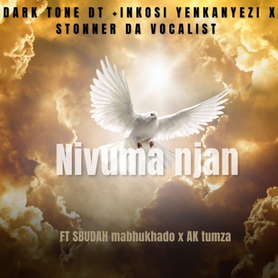 Nivuma njan (feat. Dark tone DT, Inkosi yenkanyezi, SBUDAH mabhukhado & AK tumza) - Single