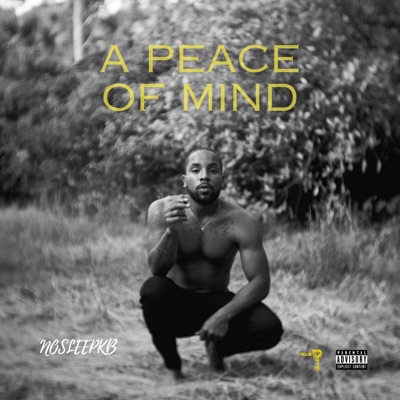 A Peace of Mind (Original Motion Picture Soundtrack)