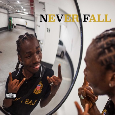 Never Fall (feat. VI Vidi) - Single