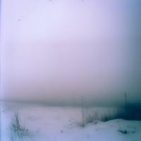 Your arms - Single - leapyear