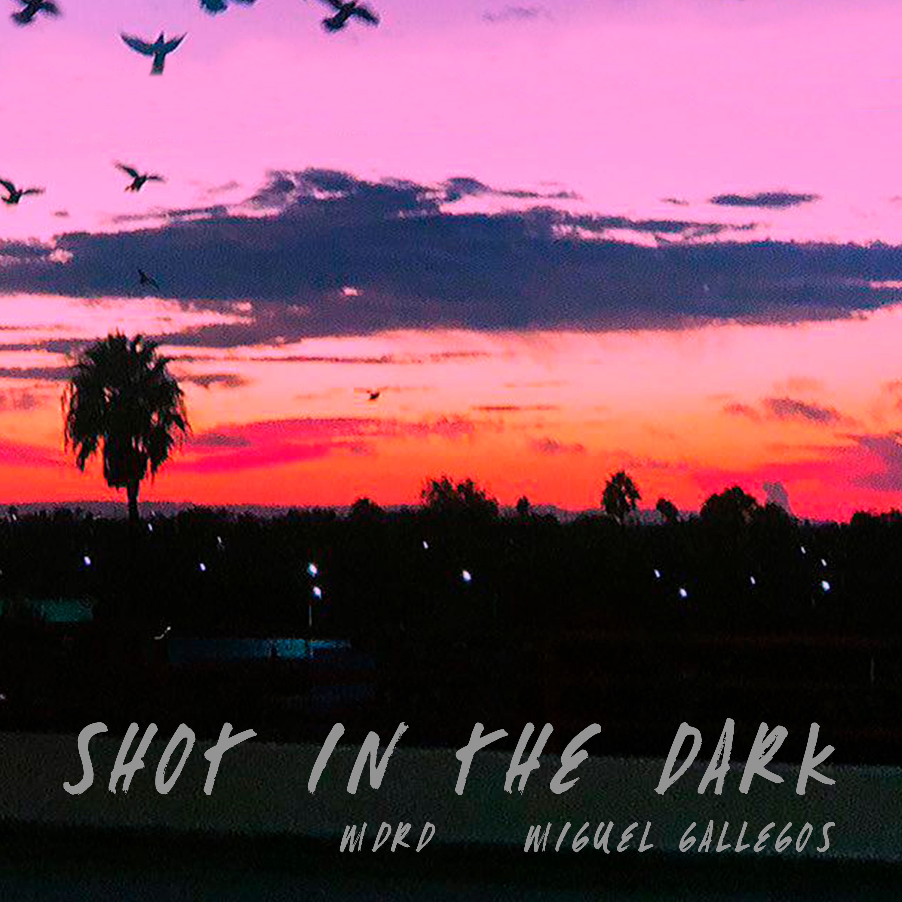 Shot in the Dark - Single by MDRD & Miguel Gallegos album cover