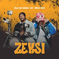 Zeksi (feat. Towela Kaira) - Single - Willz Mr Nyopole