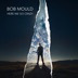 Here We Go Crazy by Bob Mould