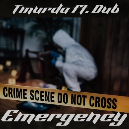 Emergency (feat. Dub) [Remix] - Single