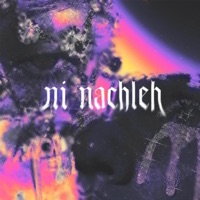 Ni Nachleh - Single - DJ Gillz
