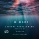 Leichte Turbulenzen Single