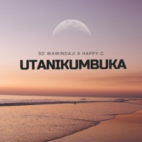 Utanikumbuka (feat. Happy C) - Single - Sd Wawindaji