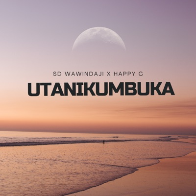 Utanikumbuka (feat. Happy C) - Single