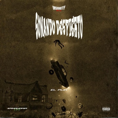 Sonando Despierto (El Pija Remix) - Single