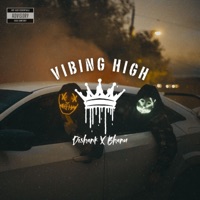 Vibing High (feat. Bhanu) - Single - Dishank