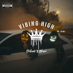 Vibing High (feat. Bhanu) - Single