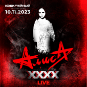 Жги-гуляй (Live, 10.11.2023, ДС Юбилейный) song art