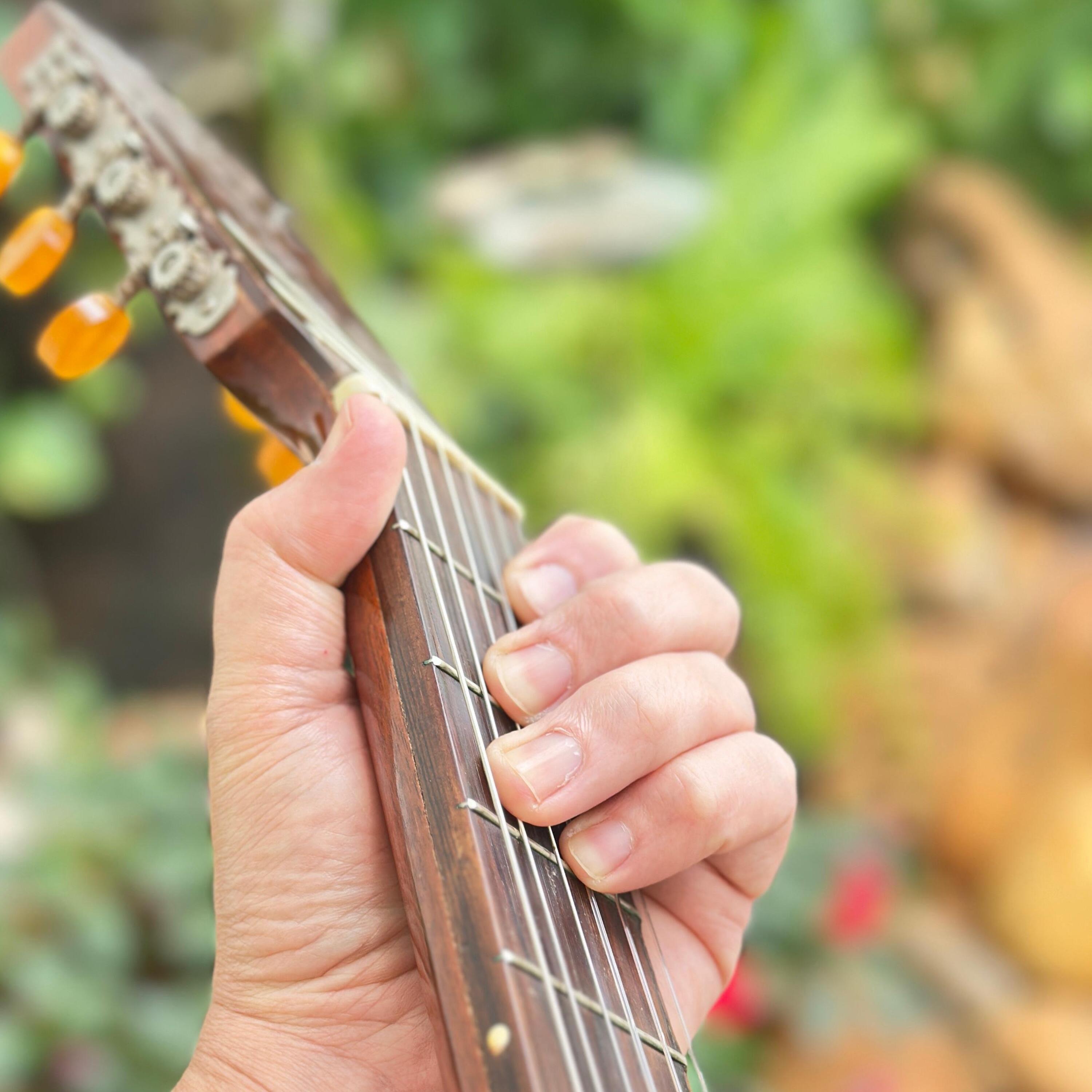 Coração Brasileiro