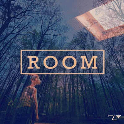 room - Single