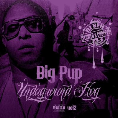 Undaground Hog, Vol. 2 (Slowed & Chopped) [feat. DJ Red]