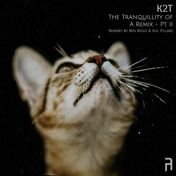 The Tranquillity of A Remix - Pt. II - Single
