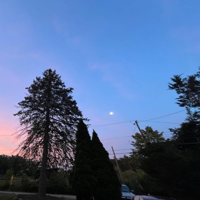 I Watch the Moon - Single