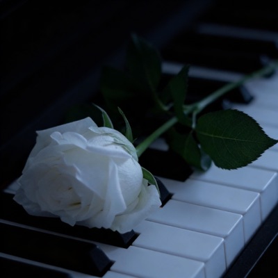 Paradise (Instrumental Piano) - Single