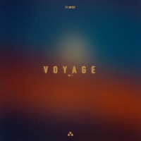 Voyage (feat. Vd'j) - Single - Dj M'sy