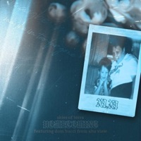 Homecoming (feat. Alta View) - Single - Skies of Terra