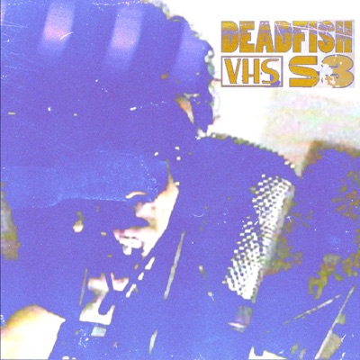 Vhs Session 3 (feat. Nauhg) - Single