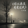 Download Video 你从来没有爱过我 (大头针氛围版) - 大头钊 & 励明