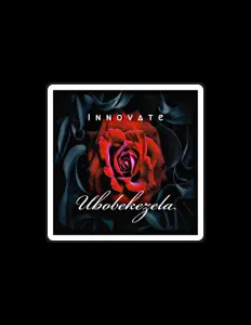 聆聽 Innovate、觀看音樂影片、閱讀小傳、查看巡演日期等！