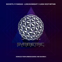 Lens in Bright (Shamika Remix) - Single - Secretly Famous