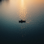 You + Me (feat. Roary)