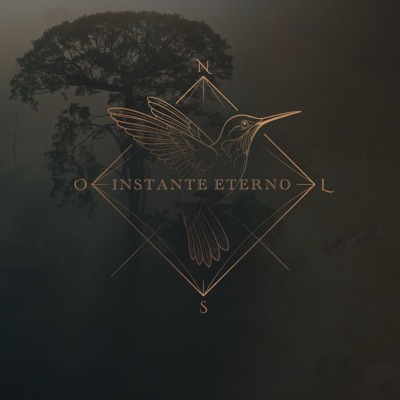 Instante Eterno - Single