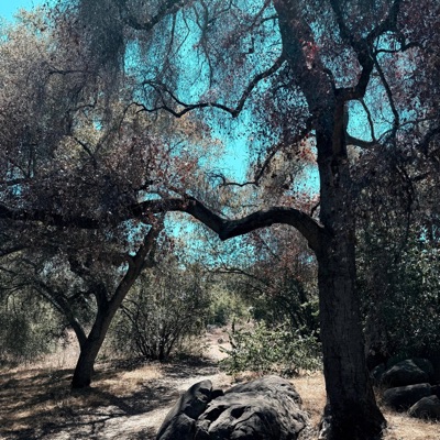 Over The Rapids Of Your Thoughts (feat. Jonathan Caro & Horacio Paris) - Single