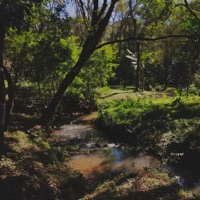 Qué sentido tiene esto - Single - naza.ud