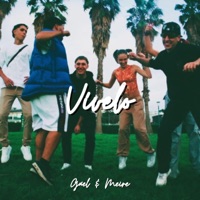 Vivelo (feat. Gael) - Single - Meire