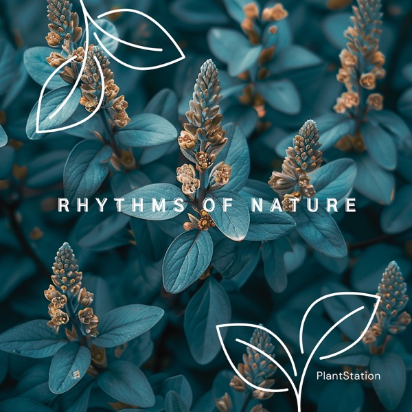 Rhythms of Nature: Plant Growth Essence