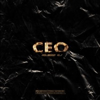 CEO - Single - Klein