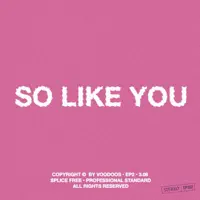 So Like You — Voodoos