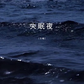 失眠夜 (伴奏) 方畅