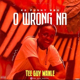 O wrong na Spedup Teeguy Wanle